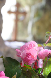 Church Flowers